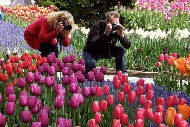 Skagit Valley Tulip Festival Day Tour from Seattle - An In-Depth Look at the Tour Experience
