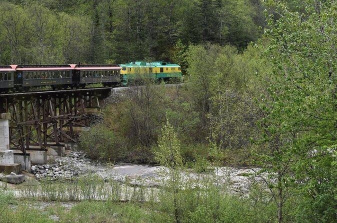 Skagway City Tour and White Pass Summit Adventure - Who Would Enjoy This Tour?