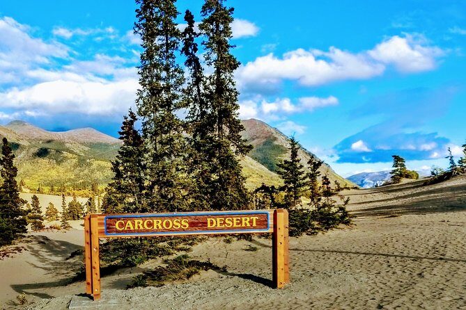 Skagway Shore Excursion: Full-Day Tour of the Yukon - A Deep Dive into the Yukon Full-Day Tour from Skagway