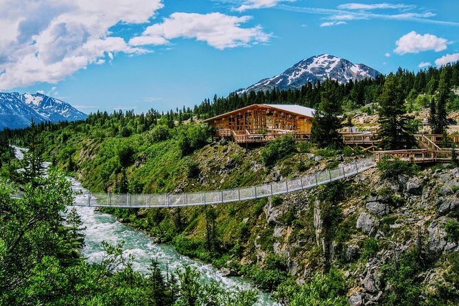 Skagway Shore Excursion: Half-Day Tour to the Yukon Border and Suspension Bridge - An In-Depth Look at the Experience
