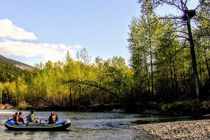 Skagway Shore Excursion: Scenic River Float Tour - The Experience: What Travelers Say