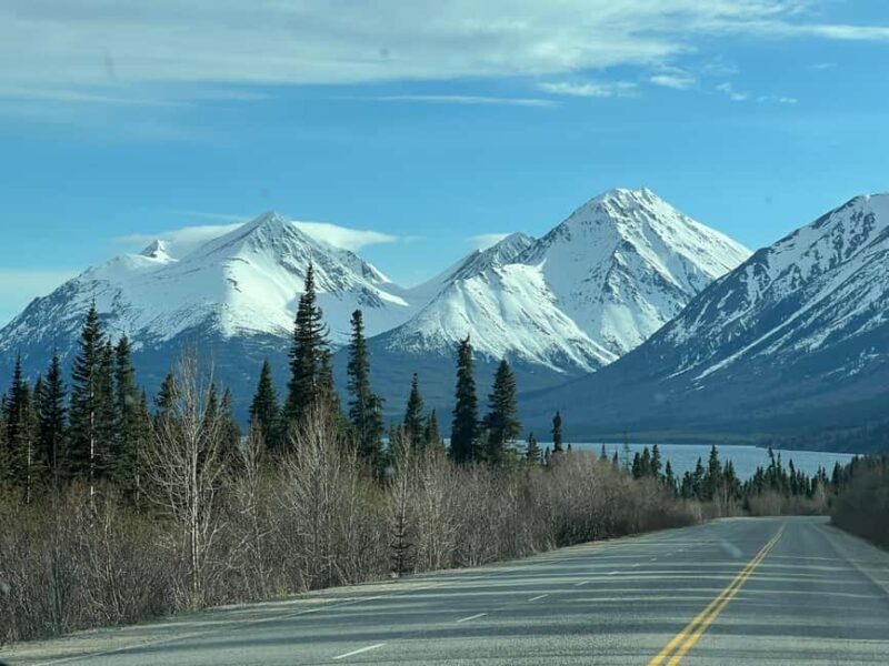 Skagway: Yukon Discovery Tour - Skagway: Yukon Discovery Tour
