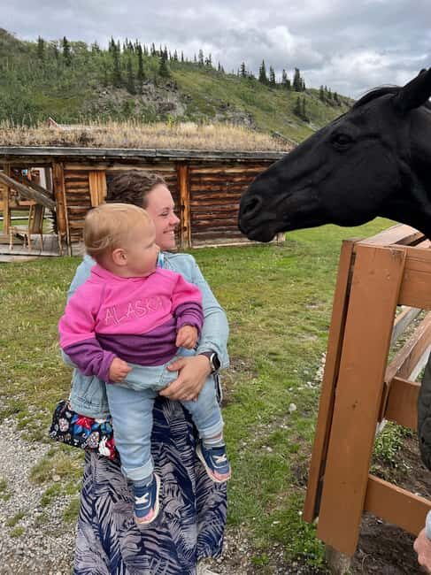 Skagway: Yukon Discovery Tour - Key Points