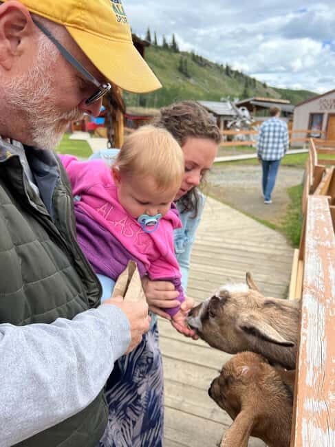 Skagway: Yukon Discovery Tour - The Sum Up: Is It Worth It?