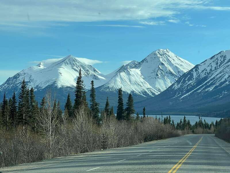 Skagway: Yukon Dog Mushing & Sightseeing Tour - A Closer Look at the Yukon Dog Mushing & Sightseeing Tour