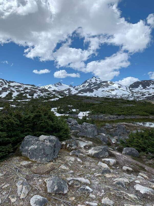 Skagway: Yukon Suspension Bridge & Summit Tour - Key Points