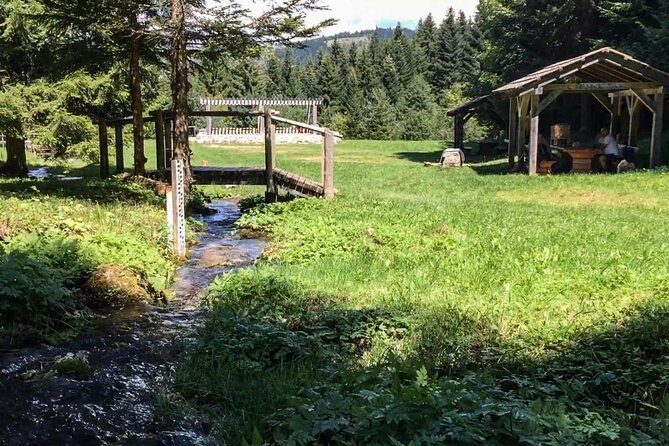 Skakavac Waterfall Hike - From Sarajevo - Transportation and Logistics
