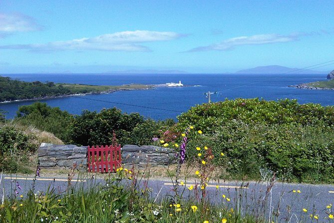 Skellig Micheal Ring - Exploring the Skellig Michael Ring Tour: A Deep Dive