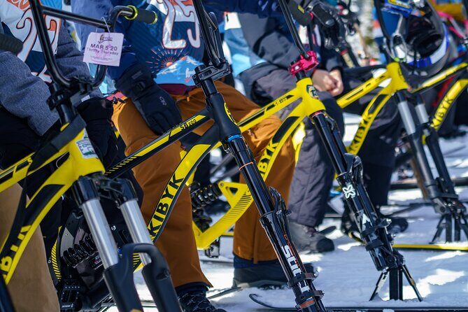 Ski Bike Rental in South Lake Tahoe - The Bottom Line: Is It Worth It?