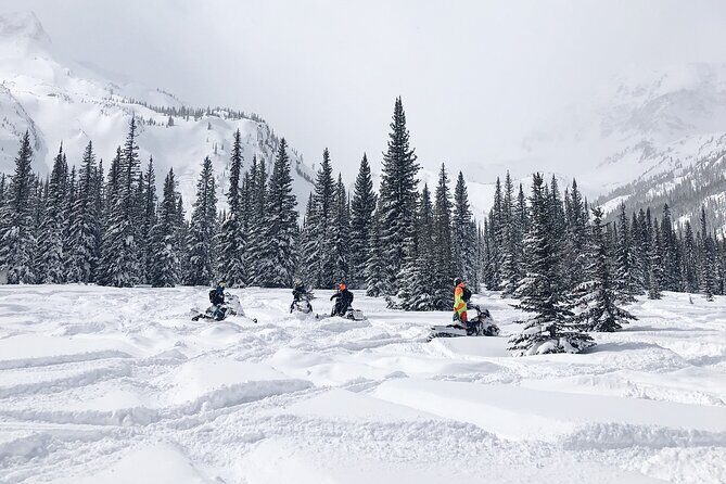 Ski-doo Snow Safari in Borovets - In-Depth Review