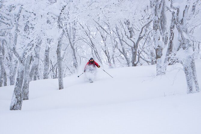 Ski or Snowboard Lesson in Shiga Kogen (4Hours) - An In-Depth Look at the Experience