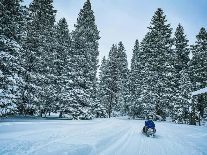 Ski & Snow Tour to Bakuriani from Kutaisi with Borjomi Stop - Authentic Georgian Experiences on the Mountain