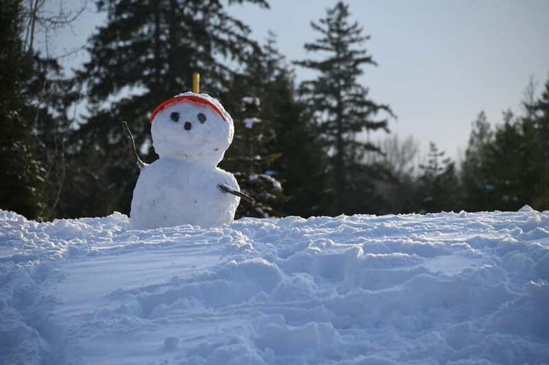 Ski & Snow Tour to Bakuriani from Kutaisi with Borjomi Stop - Who Should Consider This Tour?