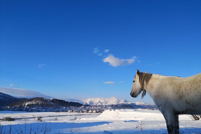 Ski & Snow Tour to Bakuriani from Kutaisi with Borjomi Stop - The Sum Up: Is It Worth It?