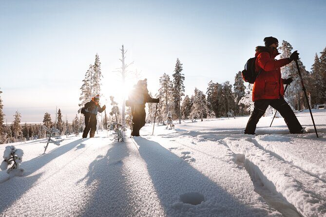 Ski Trekking Safari in Lapland - Key Points
