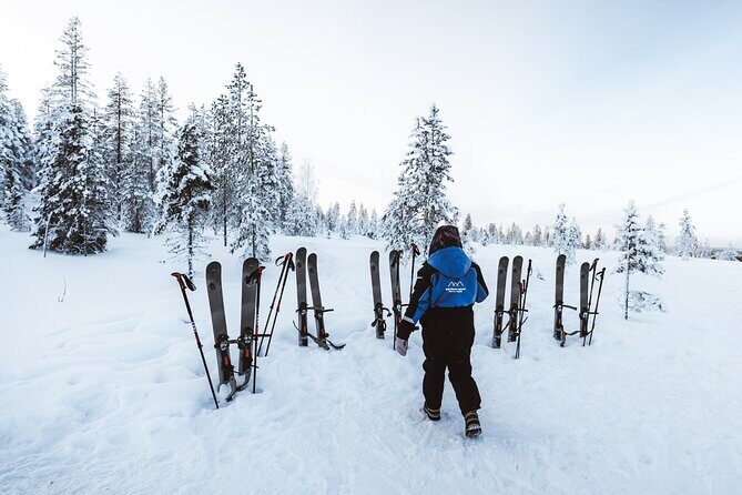 Ski Trekking Safari in Lapland - The Full Breakdown: What Makes This Tour Stand Out
