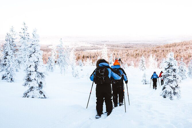 Ski Trekking Safari in Lapland - Final Thoughts: Who Will Love This Experience?