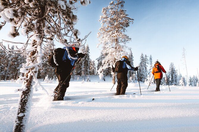 Ski Trekking Safari in Lapland - FAQ