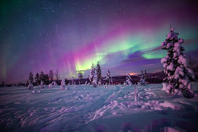 Ski Trekking under the Northern Lights - Ski Trekking under the Northern Lights: A Deep Dive into Arctic Adventure