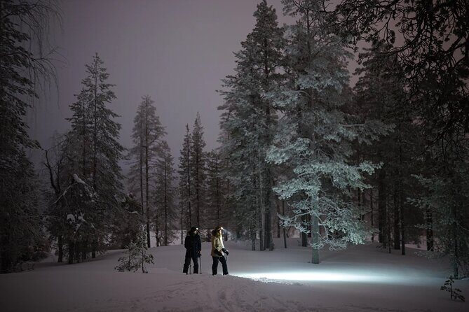 Ski Trekking under the Northern Lights - Who This Tour Is Best For