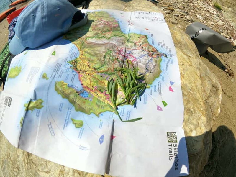 Skiathos: Guided Sea Kayaking Tour with Swim Stop - FAQs: Your Questions Answered
