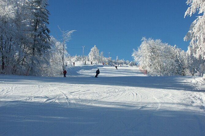 Skiing For Beginners - Private Day Trip from Krakow - A Closer Look at This Private Skiing Tour