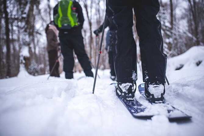 Skiing (Hok Ski) Excursion in Jacques-Cartier National Park - Exploring the Jacques-Cartier Ski-Shoeing Tour in Depth