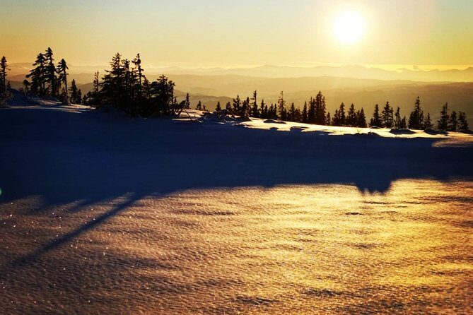 Skiing in winter wonderland - Key Points