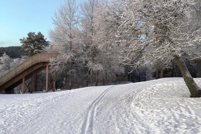 Skiing in winter wonderland - Final Thoughts