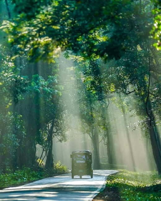 Skip Climbing Sigiriya Lions Rock  Relaxing Tuk Tuk Safari - Why Choose This Tour?