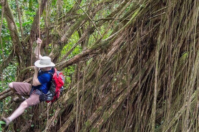 Skip the Crowds: Secret Oahu Half Circle Tour with a Local - FAQs