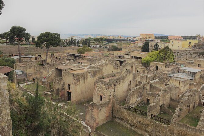 Skip the Line Ancient Herculaneum Walking Tour with Top Rated Guide - The Complete Experience: What You Will Gain