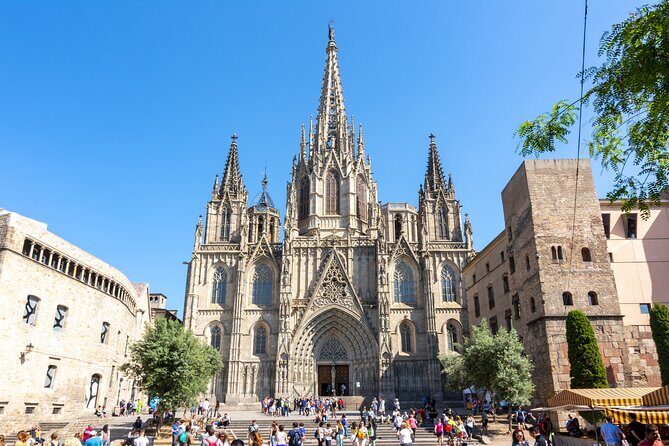 Skip-the-line Barcelona Cathedral with Private Guide - Who Will Love This Tour?