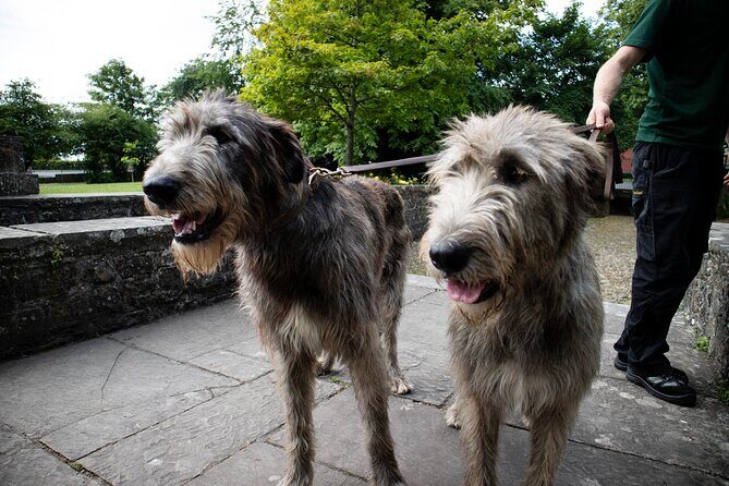 Skip the Line: Bunratty Castle and Folk Park Admission Ticket - Frequently Asked Questions