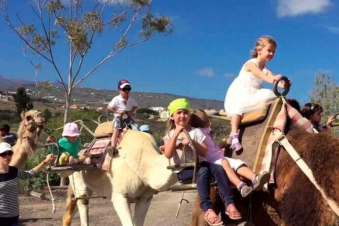 Skip the Line: Camel Park Tenerife Ticket - A Closer Look at the Camel Park Tenerife Experience