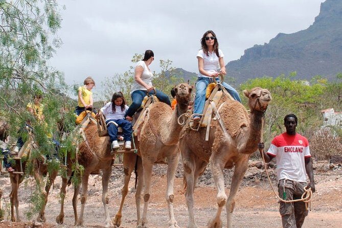 Skip the Line: Camel Park Tenerife Ticket - FAQs