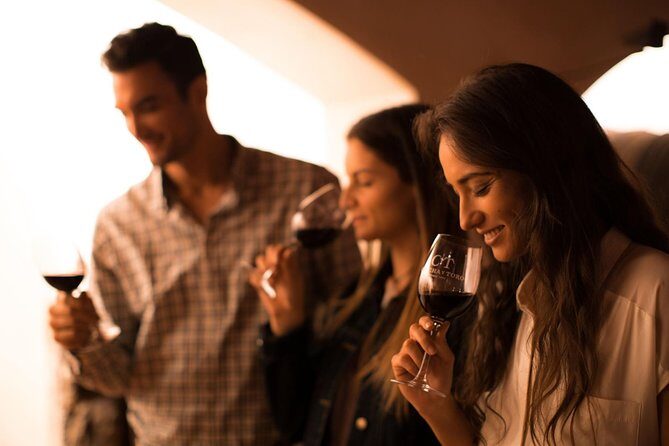 Skip the Line: Concha y Toro Traditional Tour Ticket - Concha y Toro Traditional Tour: A Balanced Look