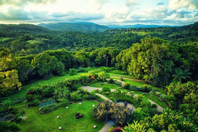 Skip the Line: Crystal Castle and Shambhala Gardens Admission Ticket - Discover the Serenity of Byron Bay’s Crystal Castle and Shambhala Gardens