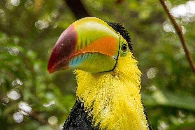 Skip the Line: Diamante Eco Adventure Park: Animal Sanctuary Discovery Ticket - Key Points