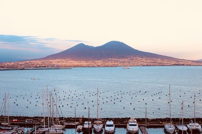 Skip-the-Line Exclusive Private Ancient Pompeii & Vesuvius Volcano Full Day Tour - Who Should Book This Tour?