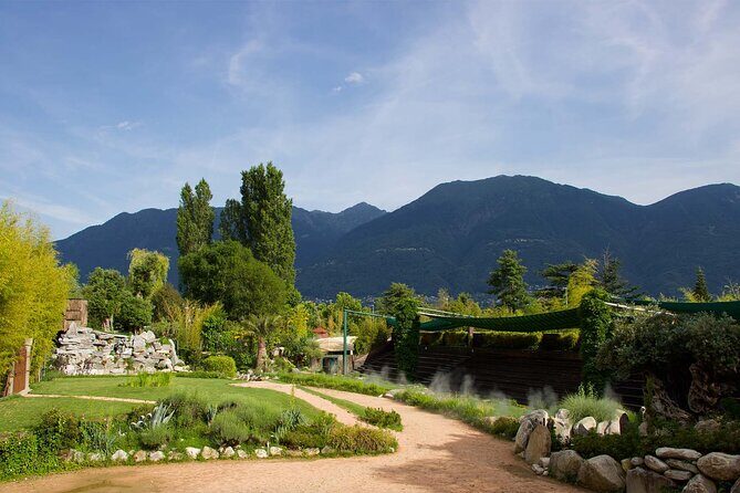 Skip the Line: Falconeria Locarno Ticket - Concluding Thoughts