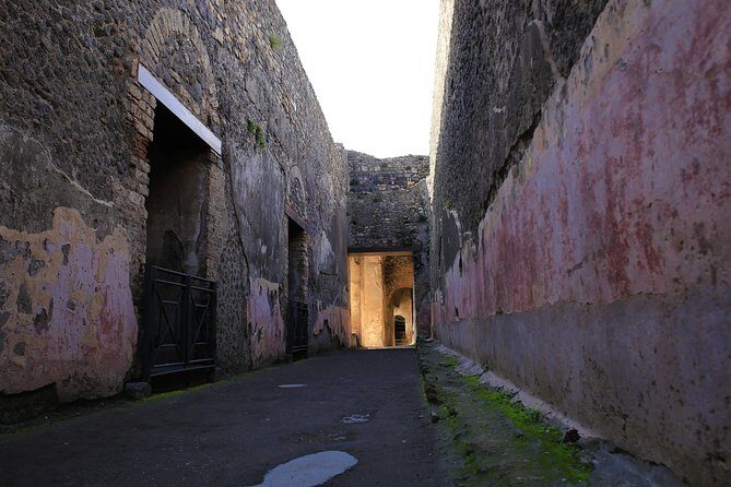 Skip the Line Guided Tour of Pompeii Led by an Archaeologist - FAQs about the Pompeii Guided Tour