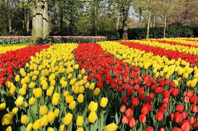 Skip-the-Line Keukenhof Gardens and Tulip Fields Tour from Amsterdam - FAQs