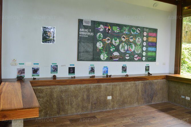 Skip-the-Line La Fortuna Waterfall Admission Ticket - Who Should Consider This Tour?