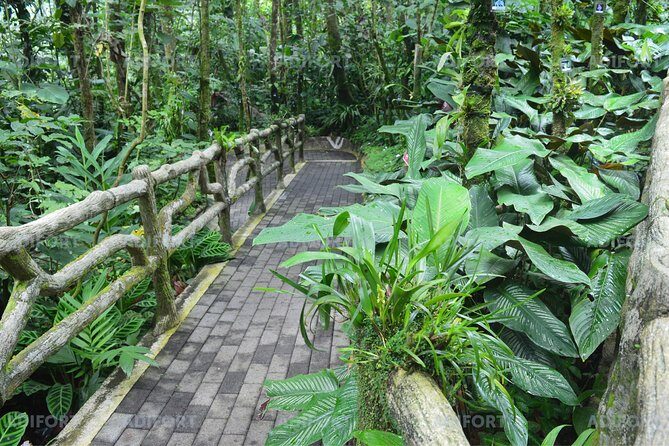 Skip-the-Line La Fortuna Waterfall Admission Ticket - FAQ