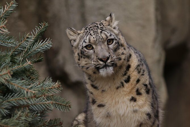 Skip the Line: Miller Park Zoo General Admission Ticket - Discover Miller Park Zoo: A Family-Friendly Wildlife Escape in Illinois