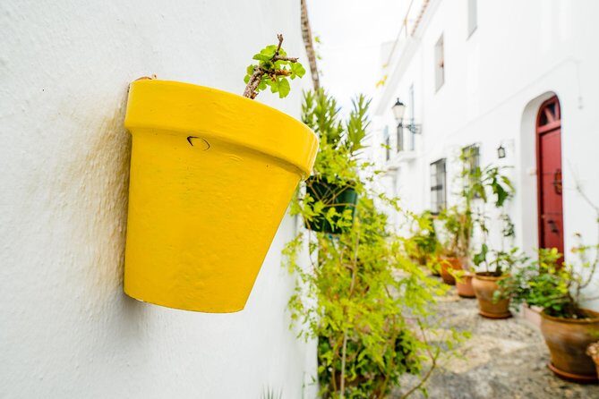 Skip the line Nerja & Frijiliana Day Trip from Granada in a small group - Key Points