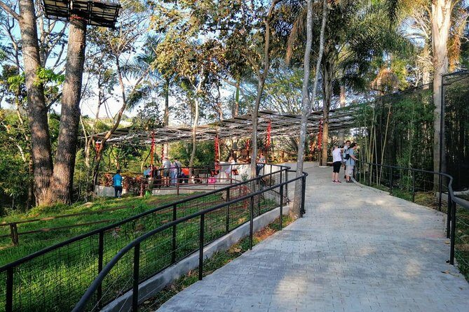 Skip the Line: Rescate Wildlife Rescue Centre General Admission Ticket - The Animals in Focus