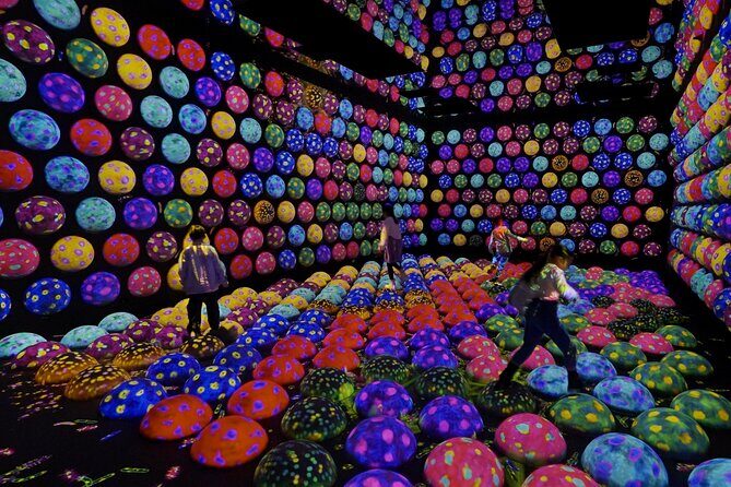 Skip the Line TeamLab Planets Ticket including Tokyo Hotel Pickup - Key Points