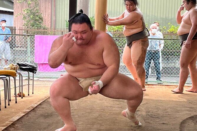 Skip the Line Ticket to Sumo Morning Practice at Nagoya - A Closer Look at the Sumo Morning Practice Tour in Nagoya